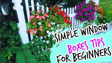 🌻WINDOW BOXES: Simple window boxes tips for beginners in [2020]🌻|Pattisguilfordgardenct| New england