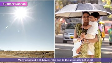 Climate in India | New Sparkle Semester Series Social Studies Grade 4 | Jeevandeep