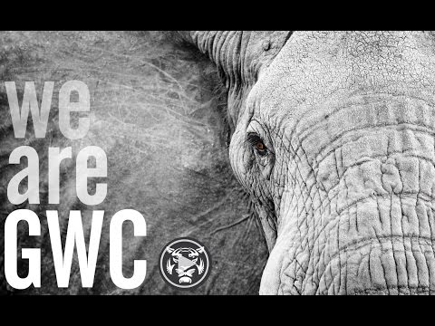 We are Global Wildlife Conservation