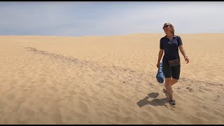 Франция Май 2022. Дюн дю Пила (Dune du Pilat) - самая большая блуждающая дюна Европы