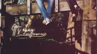 Astrid S - IT'S OKAY IF YOU FORGET ME || Vietsub \u0026 Lyrics