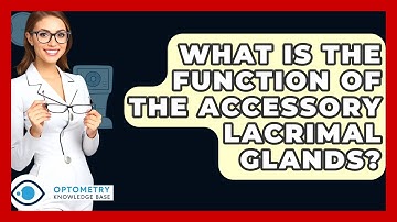 What Is The Function Of The Accessory Lacrimal Glands? - Optometry Knowledge Base