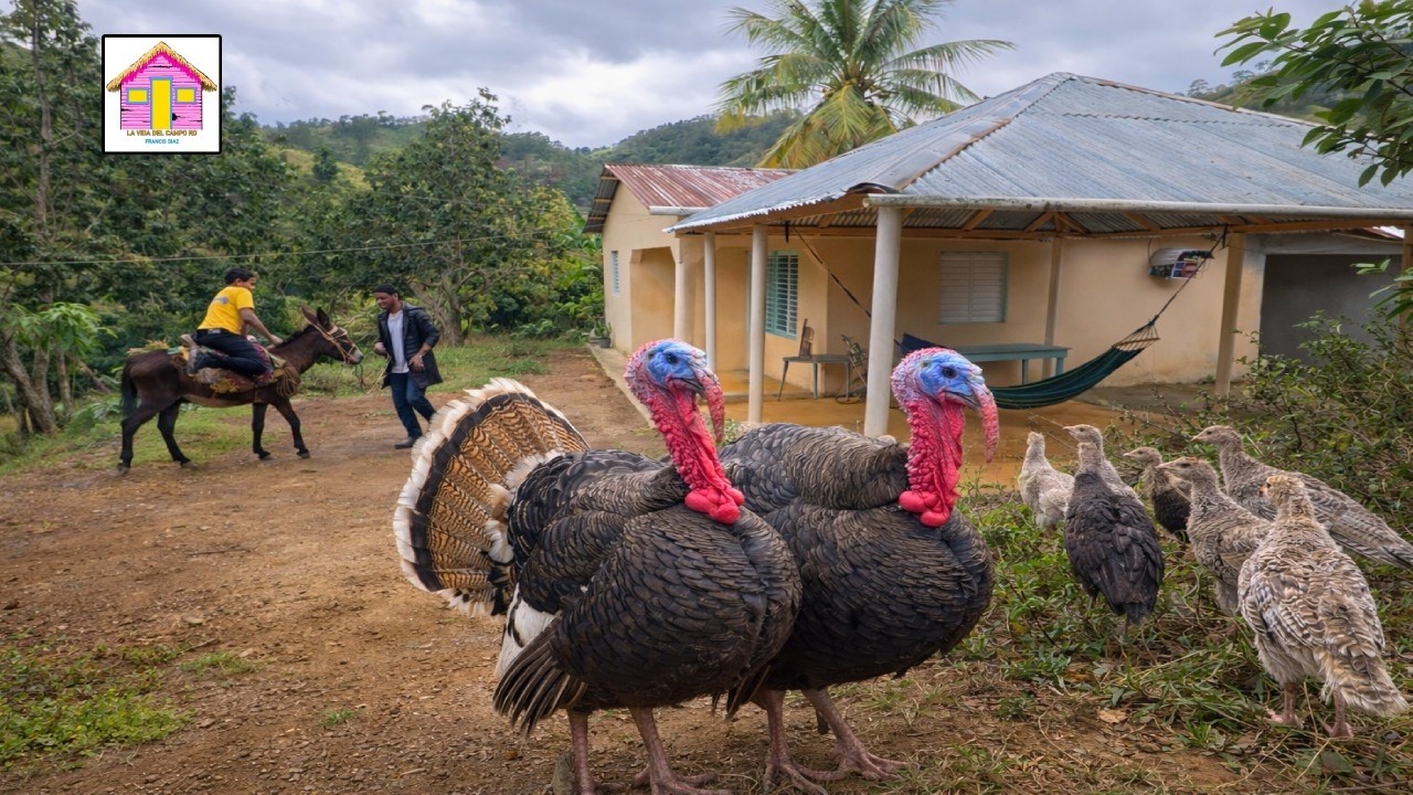 EN ESTE CAMPO DE JANICO SE CONSERVAN MUCHAS  COSTUMBRES  ANTIGUAS