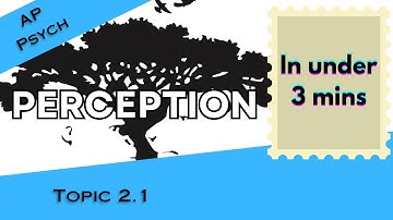 Perception Explained in Under 3 mins (AP Psychology Unit 2 Topic 1) 2.1