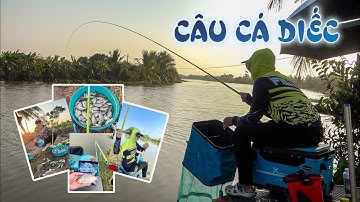 CÂU CÁ DIẾC Với Bài Mồi GUF Gấu | Gặp Ngay Khắc Tinh Của Cần Thủ