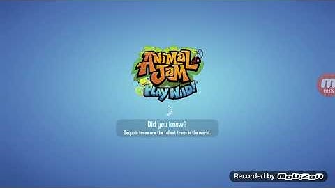 My first YouTube video/animal jam play wild/Matthew Roberson