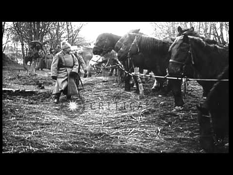 Cossacks dance and enjoy after a battle during World War I. HD Stock Footage
