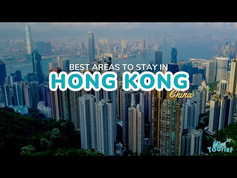 Reproductor de vídeo de YouTube