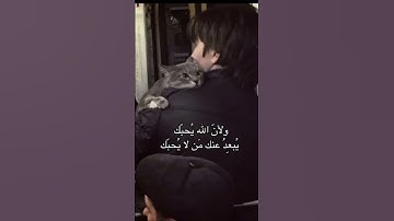 #عبدالرحمن_مسعد #عبدالرحمن_مسعد_تلاوة_جديدة #viralvideo #قران_كريم #قرآن  #قرآن#تلاوة_خاشعة