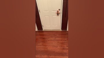 JOLT SPEED RELOAD #shorts