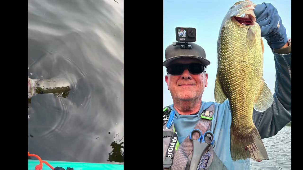 Snakehead Fishing in the Patapsco River and Surprised by a Flying Bass! #snakehead #bassfishing