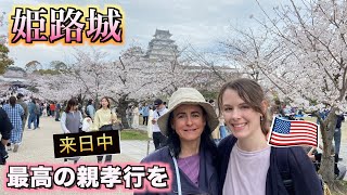 Taking my mom to see the cherry blossoms at Himeji Castle. #lifeinjapan #himejicastle #traveljapan