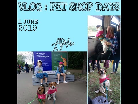 ВЛОГ : PETSHOP DAYS 2019