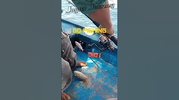 CÂU CÁ BIỂN P22, LÊN HÀNG 2 EM CÁ TƯƠI NGON  - GO FISHING #shorts