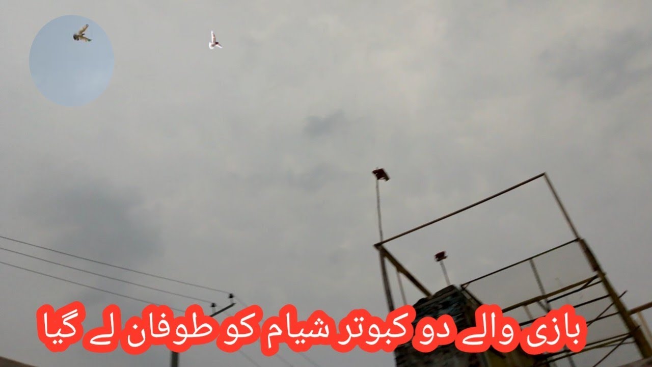 Bazi waley do khabotar tofan ly gia