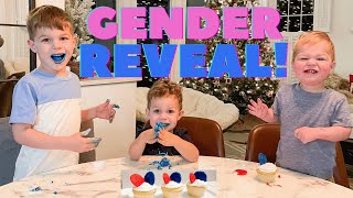 Surprise Gender Reveal to Kids! Scavenger Hunt & Cupcakes!