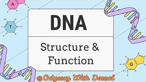 🅳🅽🅰 🆁🅴🅿🅻🅸🅲🅰🆃🅸🅾🅽~🆃🆁🅰🅽🆂🅻🅰🆃🅸🅾🅽 🅰🅽🅳 🆃🆁🅰🅽🆂🅲🆃🅸🅿🆃🅸🅾🅽  || 𝙳𝙽𝙰 & 𝙸𝚃