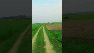 #brso#phle#thi#ndi#huva#krti#He#video #viral #