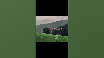 ســورة القـصـص - الآية (١٦)@ElMenshawiOfficial  @qurani-jannati