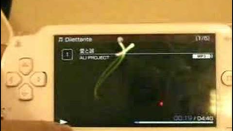 PSP working ver 3.02 on DEVHOOK 0.51b