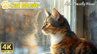 Calming music for cats 🐱 Invite you and your cat to enjoy your cat's favorite music by Music For Cats 1,260 views 3 weeks ago 23 hours