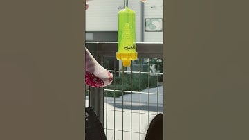 Smells like dead fish