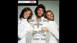 Bee Gees - Rest your love on me [ 1 hour loop ]