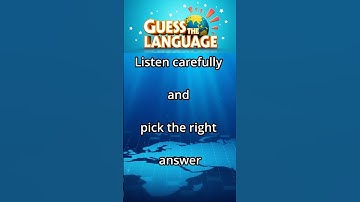 Can You Guess This Unique Language? | Language Quiz #2 | FairWorld Stories