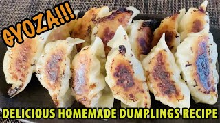 【餃子 Gyoza】Mouthwatering Dumplings: Master the Art of Dumpling Making