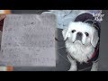 Shocking Letter Was Left Next To A Poor Dog Dumped On The Restroom (Part 1) | Kritter Klub