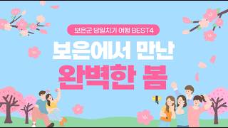  보은에서 만난 완벽한 봄  - 썸네일