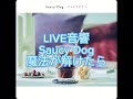 LIVE音響 Saucy Dog 魔法が解けたら