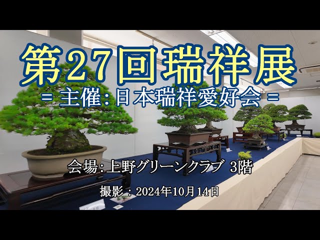 願いの叶うチベタンラグ　瑞祥雲 願いの叶うチベタンラグ 瑞祥雲 願いの叶うチベタンラグ 瑞祥雲