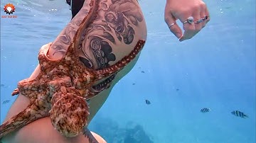 Most Satisfying Factory Machines and Ingenious Tools | Best of the Week #107