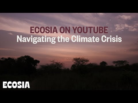 Welcome to Ecosia | Trees and the Climate Crisis Explained