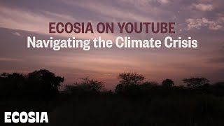 Welcome to Ecosia | Trees and the Climate Crisis Explained