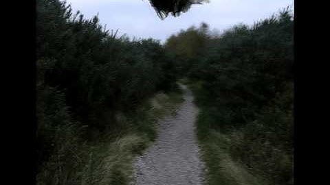 Mo track test and maya in AE test