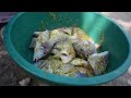 Jensi Yakuaanda Samaki Na Kukaanga Jensi Yakuaanda Samaki Na Kukaanga