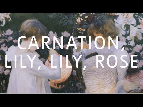 Video: Lily Sargent
