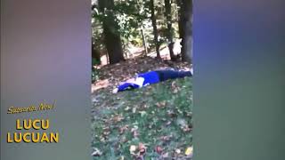 Video lucu gokil ngakak kumpulan video lucu cocok buat status wa whatsapp