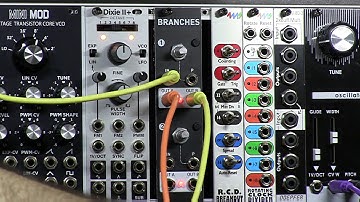 Mutable Instruments  Branches