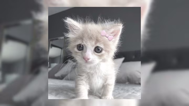 🎧плейлист крутых песен с зимним вайбом🎧 (speed up)