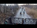 Sled Dog Fall Training on an ATV - Oct 2016 Sled Dog Fall Training on an ATV - Oct 2016