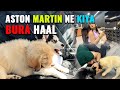 Astonmartin ne bura haal kardiya ajju0008yt kirtimehra  kaagoldenretriever siberianhuskydog