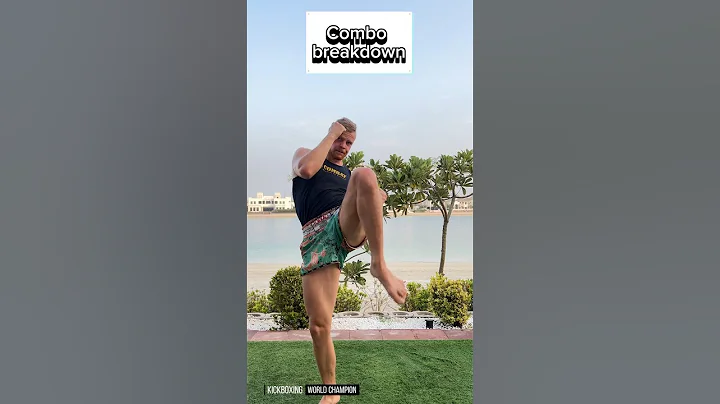 Powerful kicboxing combo part. 6 | World Champ