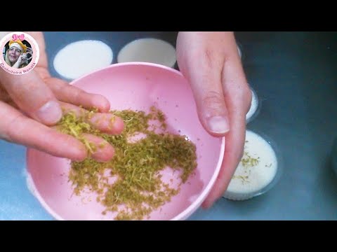 como-raspar-o-limÃo-sem-amargar-com-confeiteira-renata