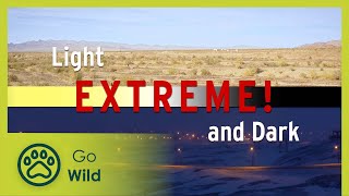 Extreme! - Light and Dark - Go Wild