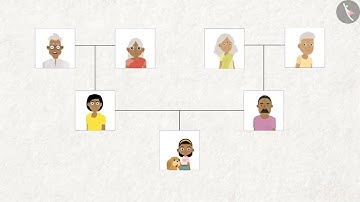 Class 4 EVS Chapter 9 Part 2 