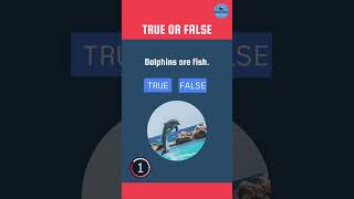 Is it True or False? #shorts #quiz #funlearning