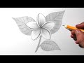 How to Draw a Jasmine Flower for Beginners | Pencil Drawing &amp; Shading